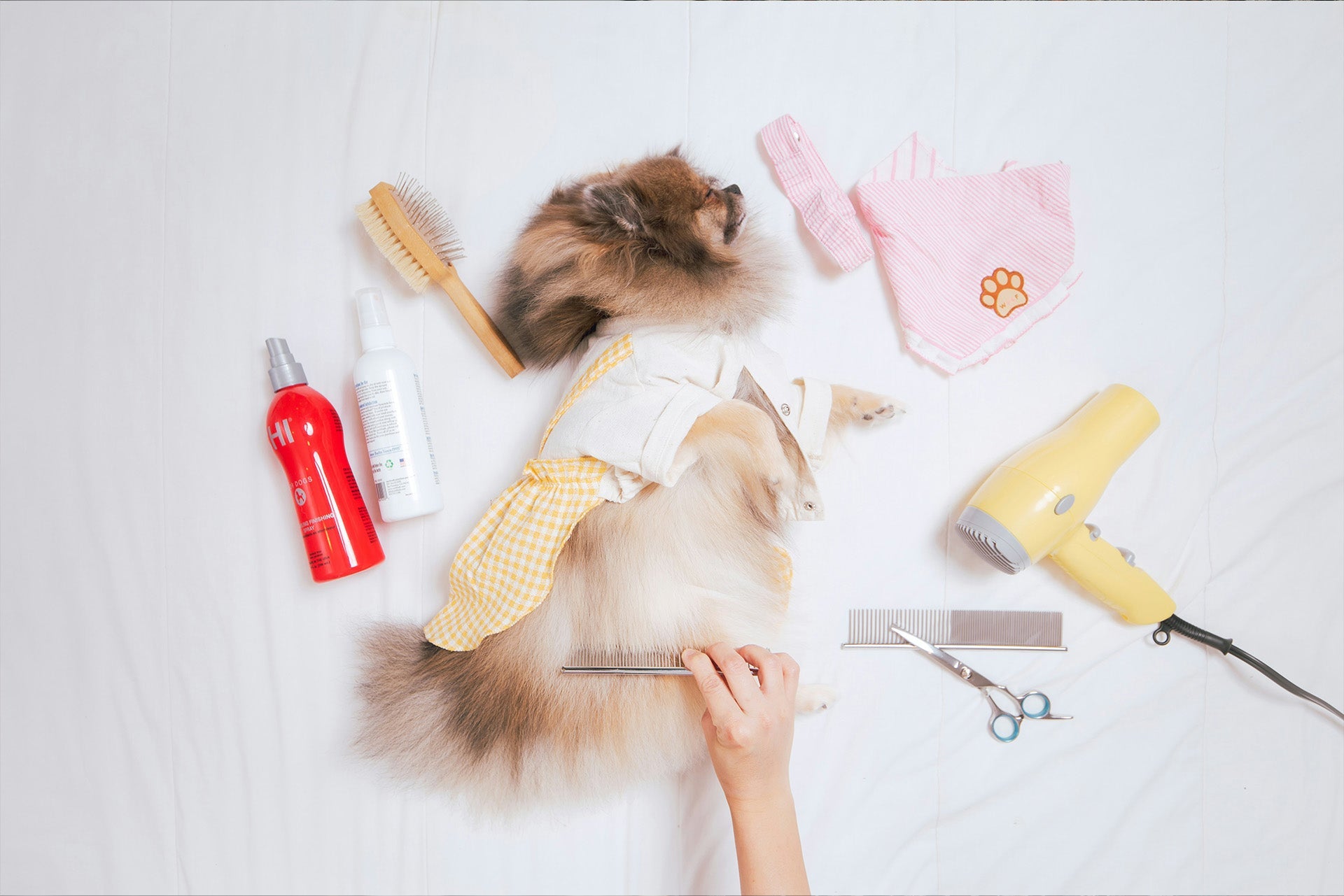 Pet Cleaning Supplies