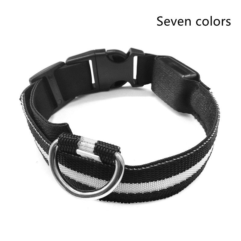 Nylon LED luminous dog collar and leash set with flashing glow for night safety, adjustable pet supplies by Jingqian.