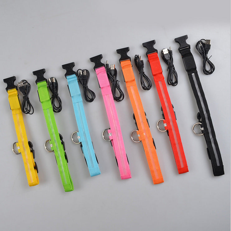 Nylon LED pet collar and leash set with flashing glow, adjustable for dogs and cats, night safety illumination by Jingqian.