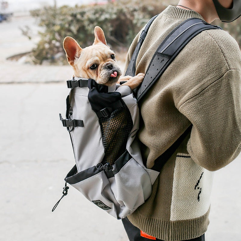 Aiqi pet dog carrier backpack for outdoor travel, double shoulder design, portable and comfortable for small dogs.