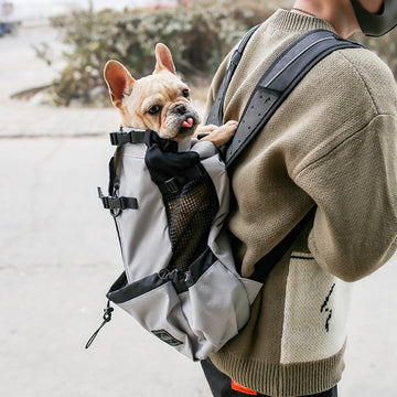 Aiqi pet dog carrier backpack for outdoor travel, double shoulder design, portable and comfortable for small dogs.