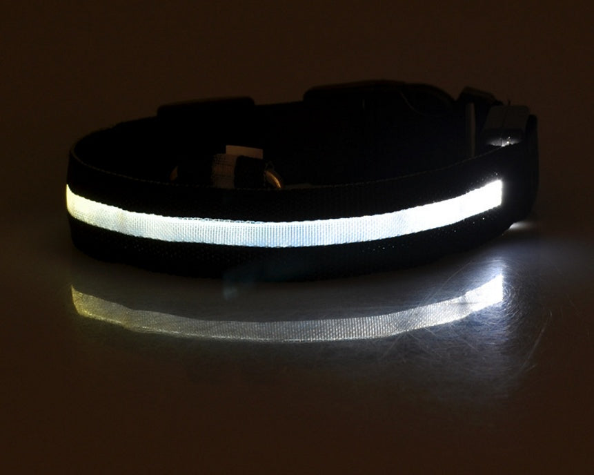 Nylon LED luminous pet dog collar and leash by Jingqian, glowing in dark for night safety and adjustable for pets.