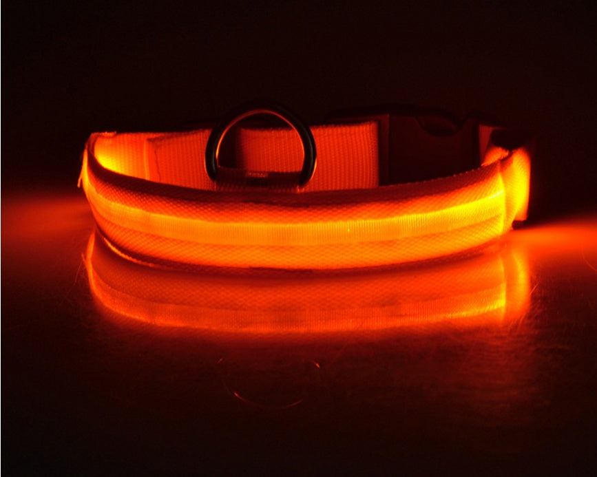 Jingqian nylon LED luminous dog collar and leash with flashing glow for night safety, adjustable pet supplies for dogs and cats
