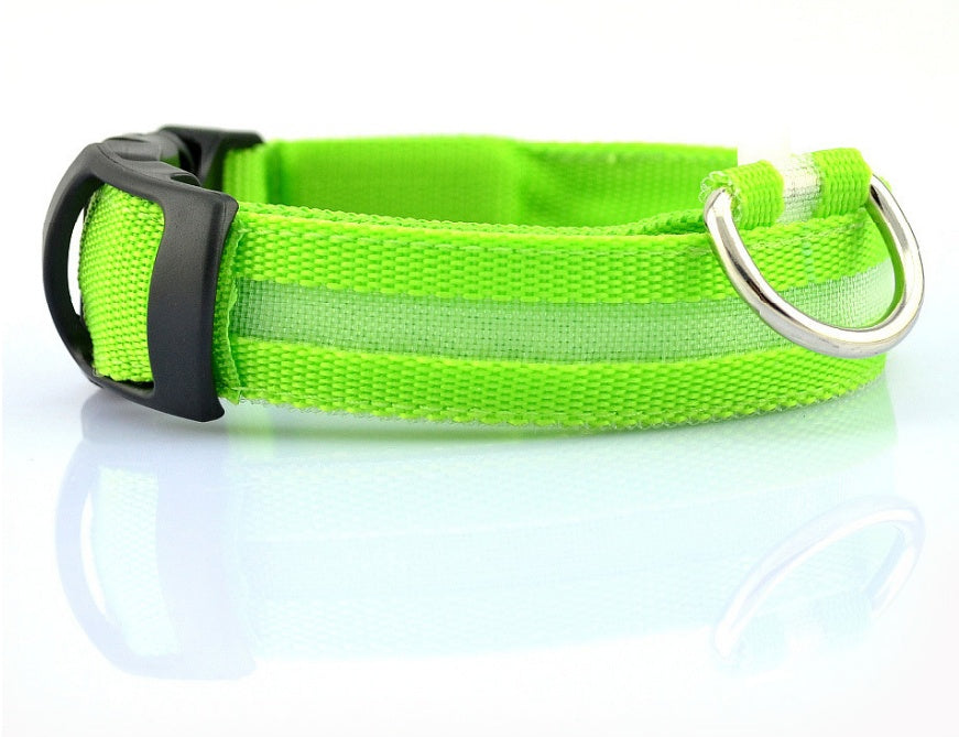Nylon LED luminous pet dog collar with flashing glow for night safety, adjustable dog and cat leash by Jingqian.