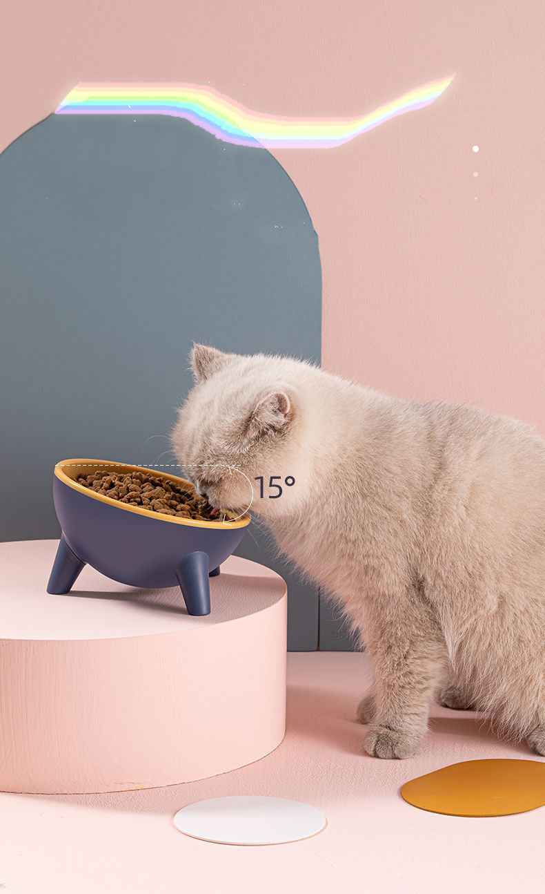 RenFan pet bowl with stand for cats and dogs, featuring colorful food bowls on a Nordic-style stand for easy pet feeding.