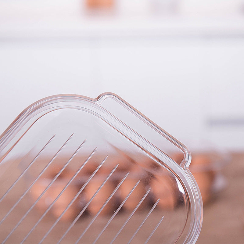 RenFan refrigerator storage box for eggs, compact kitchen home storage container with multiple egg compartments.
