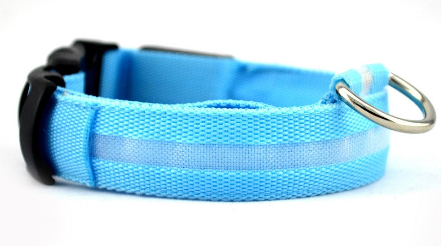 Nylon LED luminous dog collar glowing in the dark, adjustable pet leash with flashing safety light for night walks.