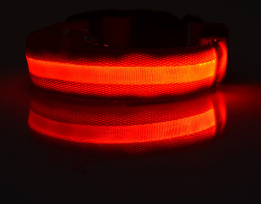 Jingqian nylon LED pet dog collar with flashing glow, adjustable nighttime safety leash for dogs and cats.
