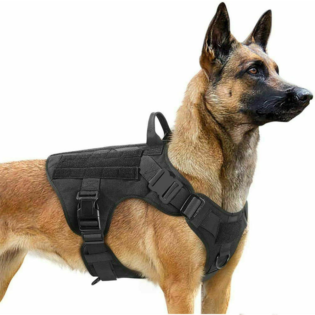 Adjustable military tactical dog harness for German Shepherd, sturdy pet harness with padded straps for comfort and control.