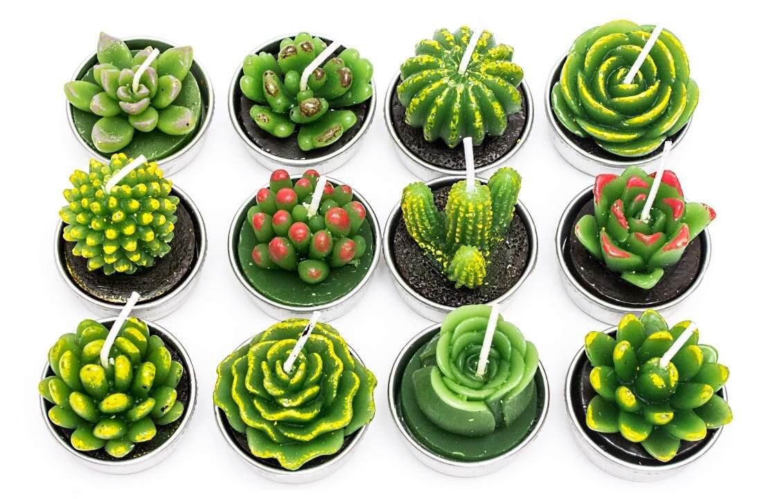 RenFan simulated succulent candle aromatherapy with realistic succulent design and soothing aroma, perfect for relaxing home decor.