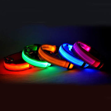 Adjustable nylon LED pet collar with glowing safety light for dogs and cats, designed for nighttime visibility and security.