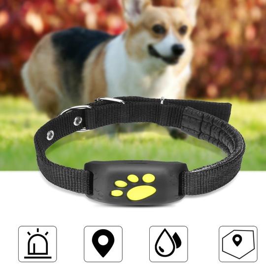 RenFan GPS pet tracker attached to a dog collar, showing real-time location device for pet safety and monitoring.
