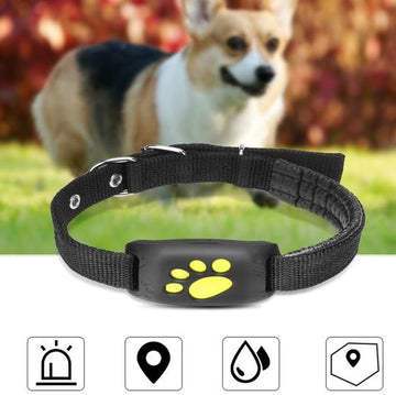 RenFan GPS pet tracker attached to a dog collar, showing real-time location device for pet safety and monitoring.