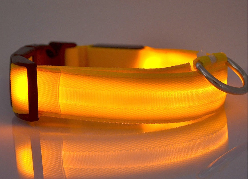 Nylon LED luminous dog collar with flashing glow for night safety, adjustable pet leash for dogs and cats by Jingqian