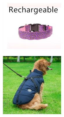 LED dog collar by RenFan, adjustable nylon pet collar with stylish leopard pattern and safety LED light for pets.