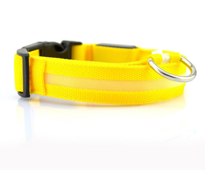 Nylon LED pet dog collar with flashing glow, adjustable night safety leash for dogs and cats, Jingqian pet supplies