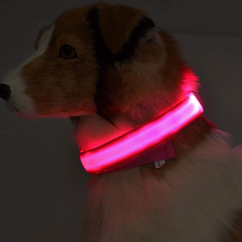Nylon LED pet collar with flashing glow, adjustable night safety leash for dogs and cats, Jingqian pet supplies.
