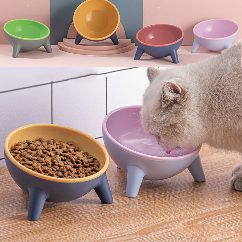 RenFan pet bowl with stand for cats and dogs, featuring colorful food bowls on a Nordic-style stand for easy pet feeding.