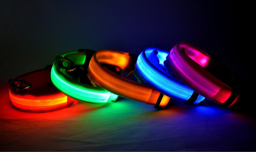 Nylon LED luminous dog collar and leash by Jingqian, glow-in-the-dark safety pet supplies for dogs and cats with adjustable fit