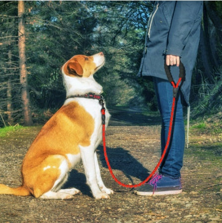 Reflective nylon dog leash by Aiqi, suitable for small to large dogs, featuring a sturdy rope design for walking and training.