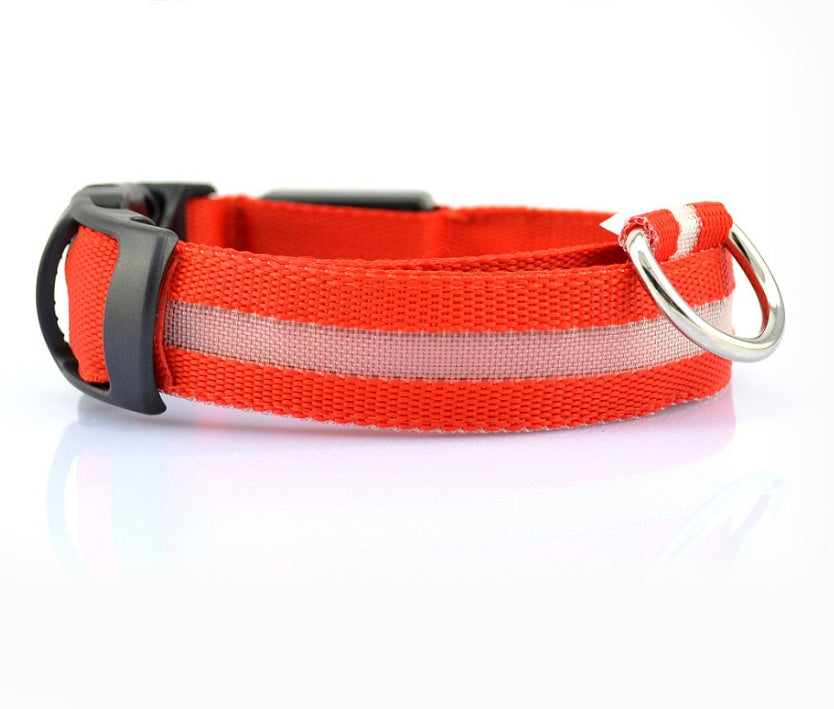 Jingqian nylon LED luminous dog collar with flashing glow for night safety, adjustable pet leash for dogs and cats.