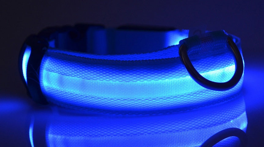 Nylon LED pet collar with luminous glow, adjustable dog and cat leash for night safety, flashing pet supplies by Jingqian