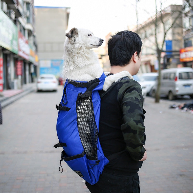 Aiqi pet dog carrier backpack for outdoor travel, double shoulder portable bag for carrying small dogs comfortably.