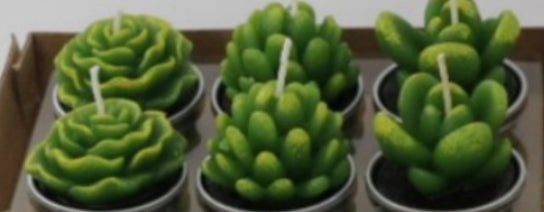 RenFan simulated succulent candle for aromatherapy, featuring a realistic plant design and soothing aromatic scent.