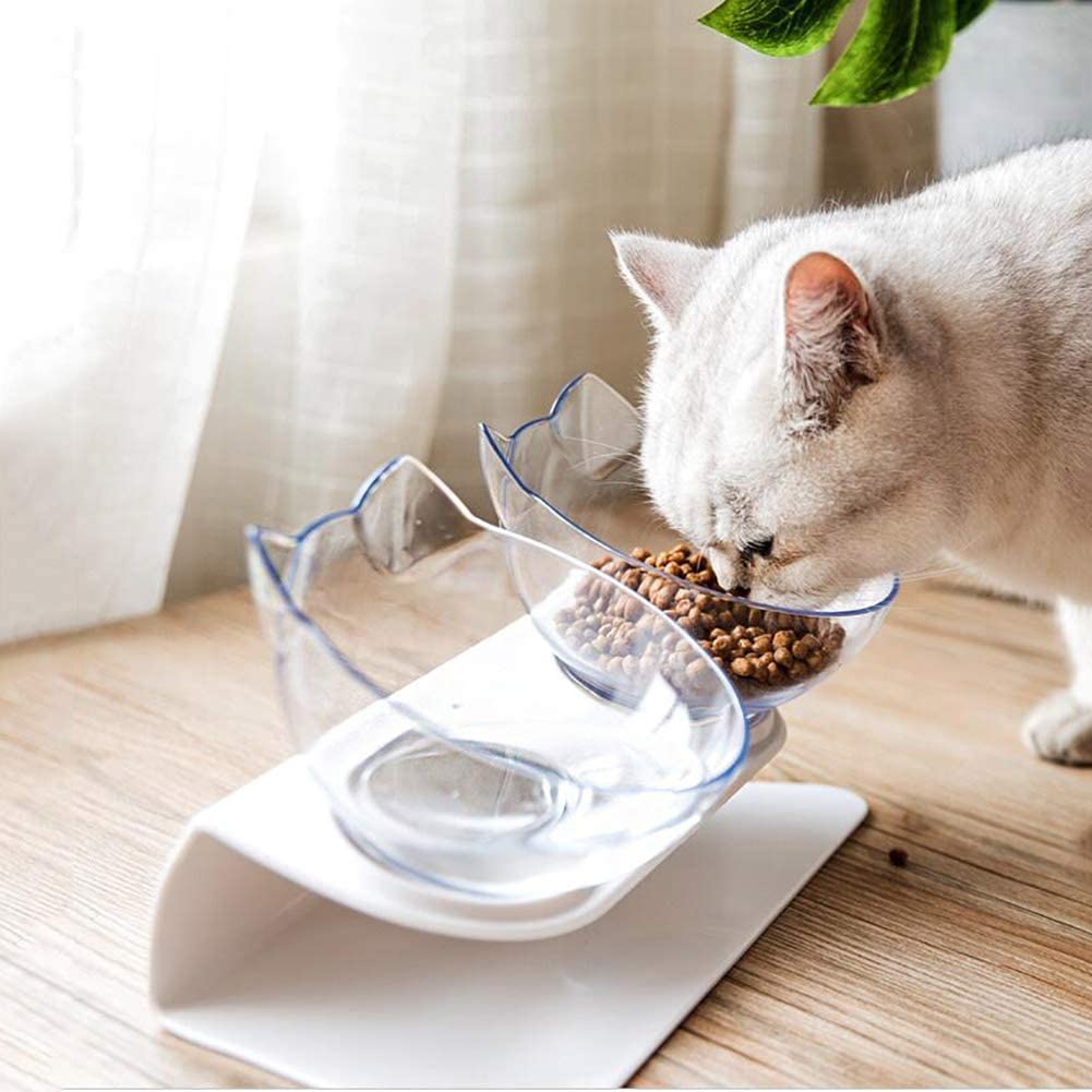 Elevated Cat Feeder Stand with Transparent Bowl