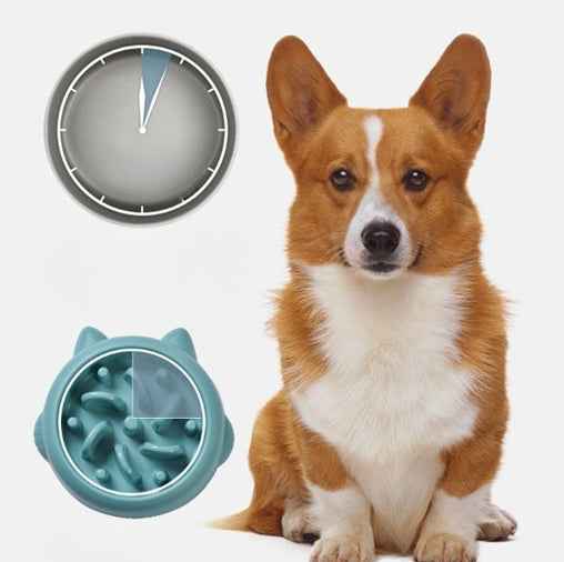Slow-Feed Pet Bowl