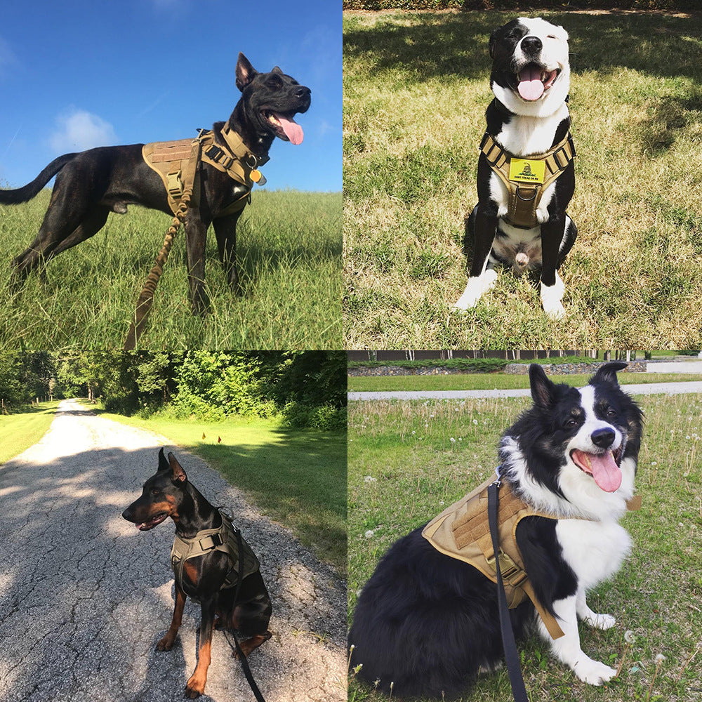 Adjustable military tactical dog harness for German Shepherd, features sturdy straps, padded back, and secure fit for active pets.