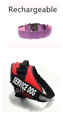 LED dog collar by RenFan, adjustable nylon pet collar with leopard pattern and safety LED light for visibility.